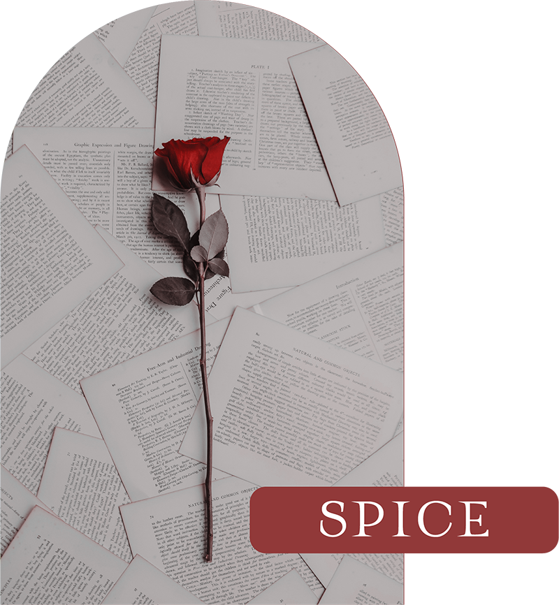 Spice Blog Category - Spicy Book Baddie | Book Review Blog