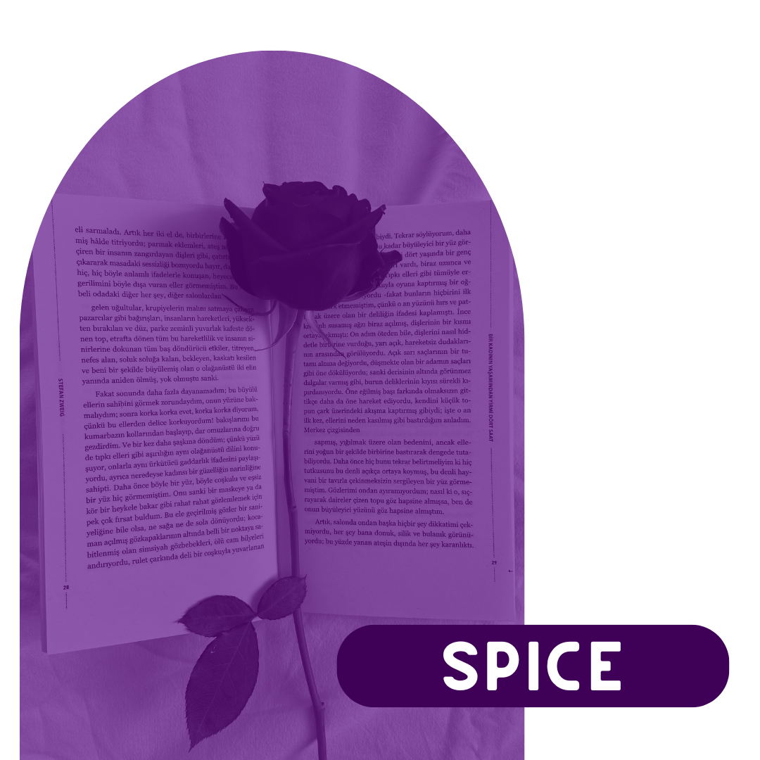 2Spice Blog Category - Spicy Book Baddie | Book Review Blog Spice Blog Category - Spicy Book Baddie | Book Review Blog